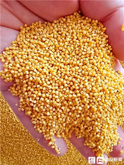 中秋团圆，福山农产品与通讯设备相伴更温馨