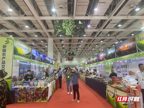 新疆农产品长沙交易会盛大开幕，超300种初级产品等你来品鉴