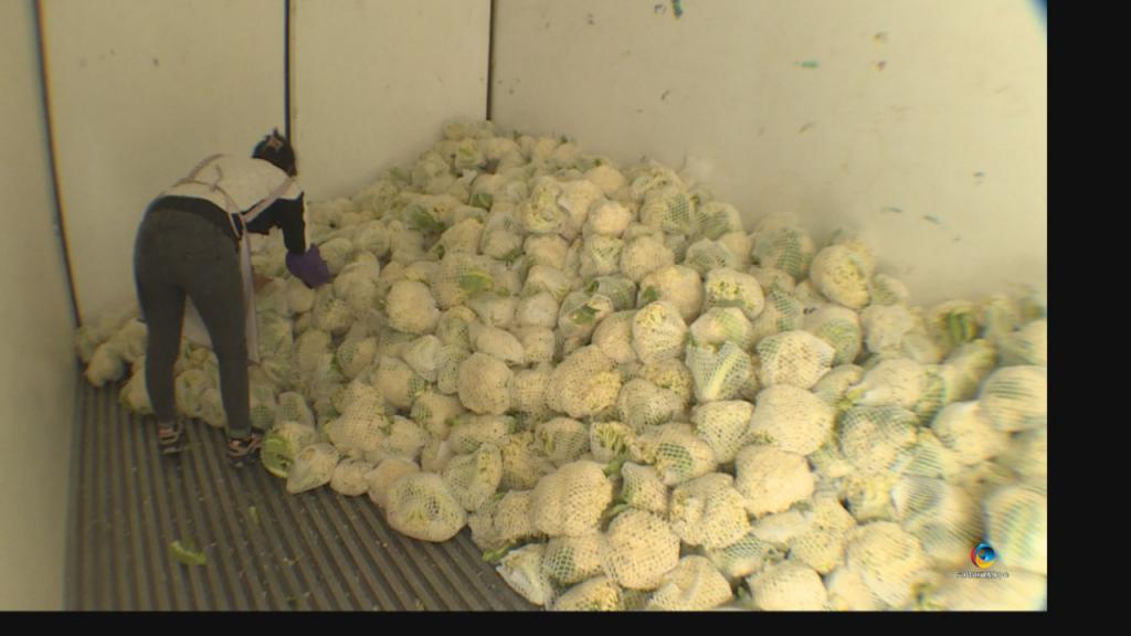 借力东风销松花——六枝两万斤初级农产品打通市场新通道