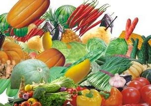 我国农产品价格走势分析 整体上涨态势下粮价保持基本稳定