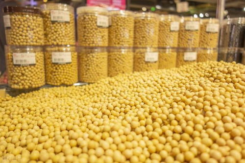 锻长板 补短板 固底板 筑牢初级农产品发展根基