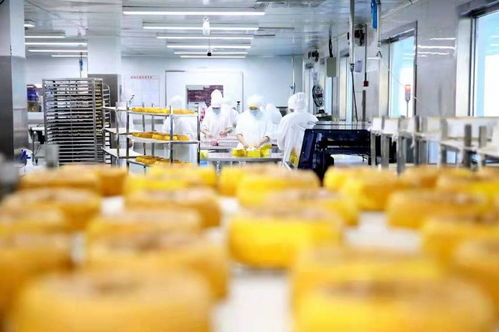 餐桌上的食品安全无小事 走进沈阳绿色工厂，探访初级农产品的神秘生产线