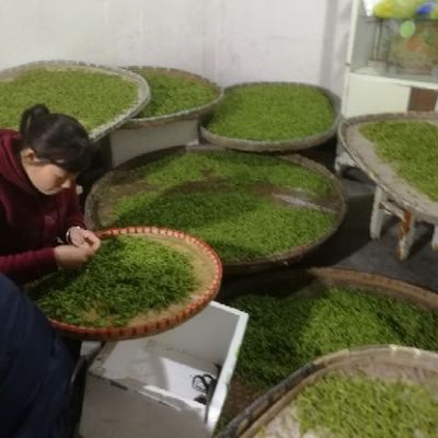 龙井茶 源自杭州富阳的初级农产品